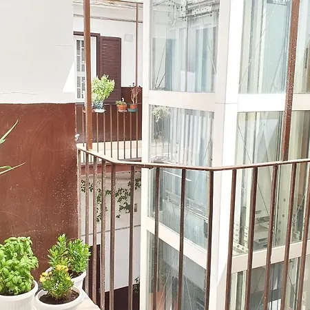 Apartment Domus Garruba - *